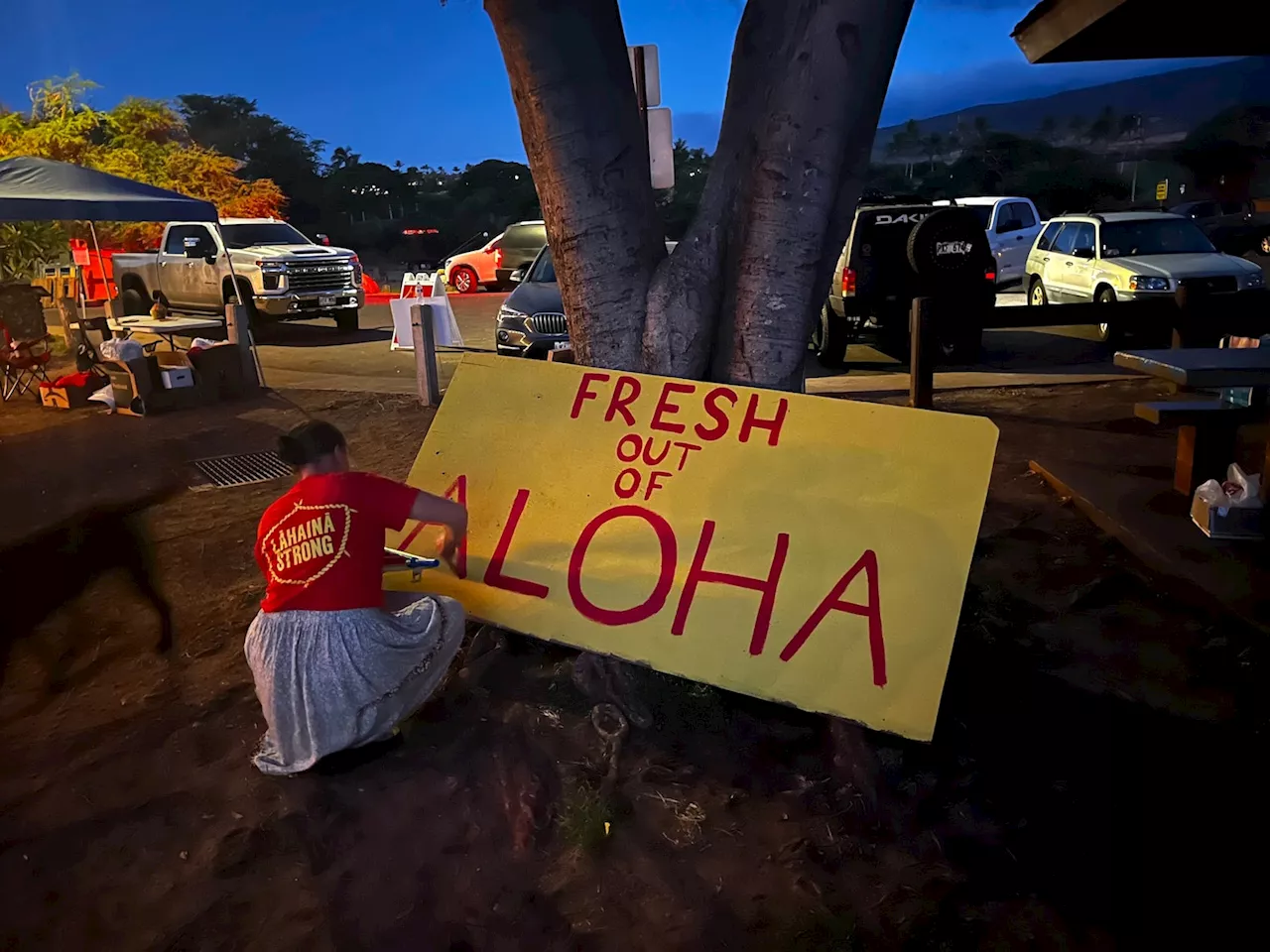 As tourists trickle back, West Maui is fresh out of aloha