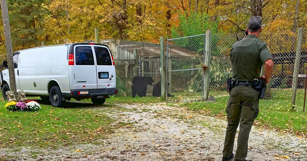 2 bears injure owner, escape from Putnam County home on Tuesday