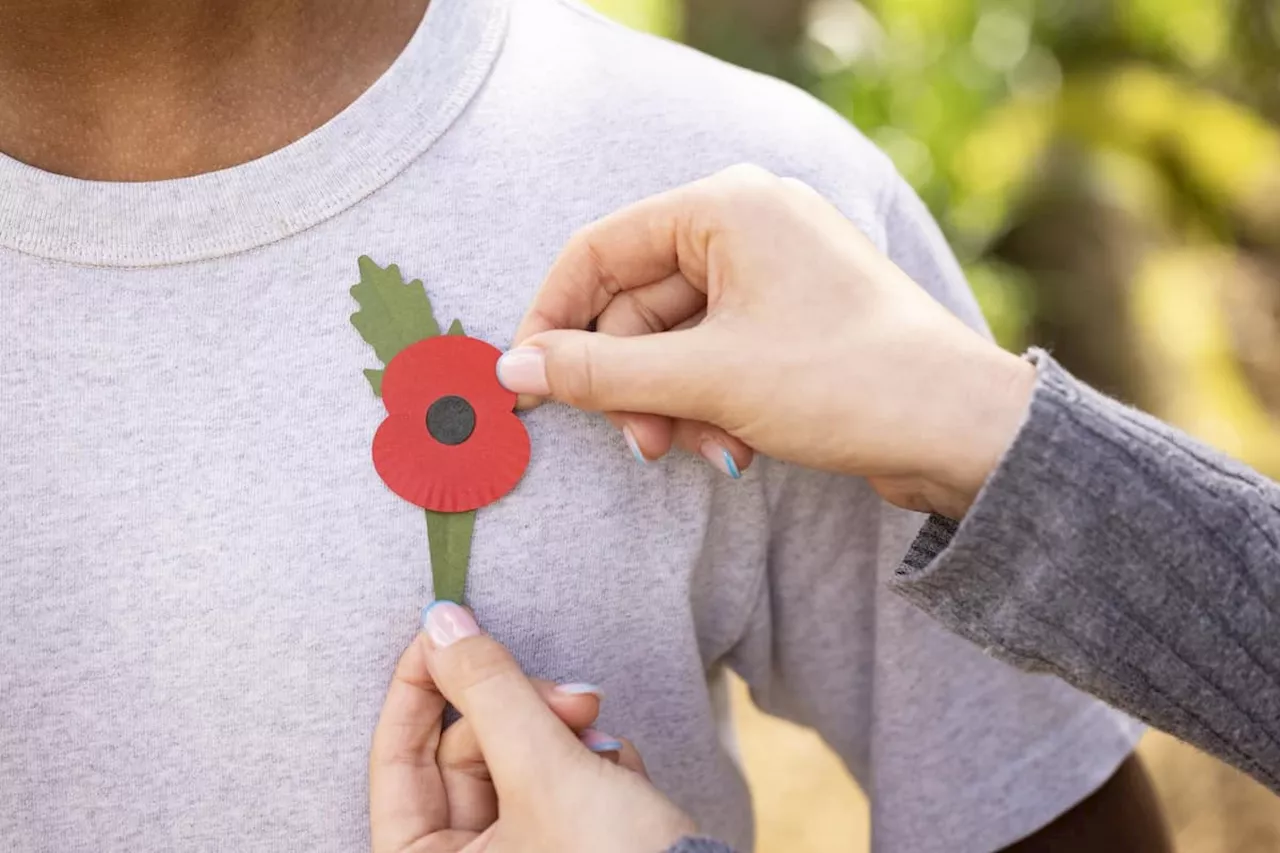 Remembrance poppies set to be plastic free and recyclable in a move to reduce single-use plastics