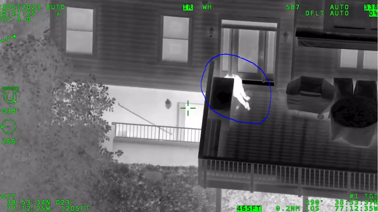 VIDEO: Helicopter cam catches sneaky suspect who fled from troopers