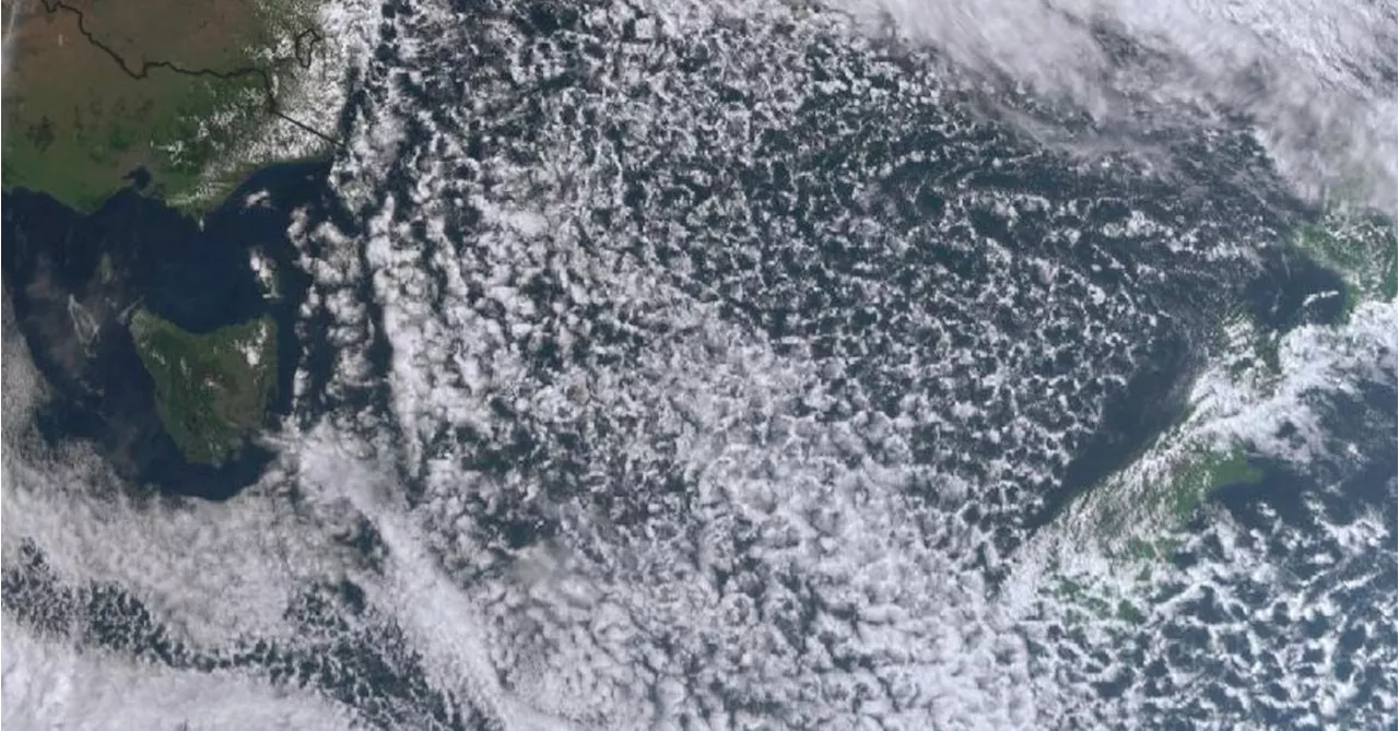 Unusual Tasman Sea cloud pattern holds clue to weekend weather