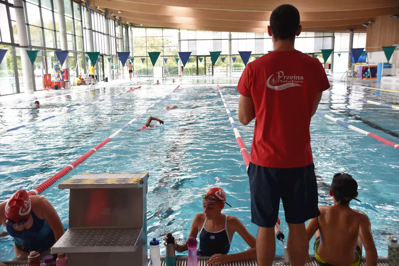 Provins : plongez dans les coulisses de la section sportive natation | La République de Seine et Marne