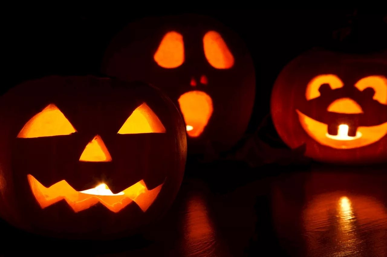 Soultz : Le parc du Bucheneck revêtira les couleurs d'Halloween le 31 octobre