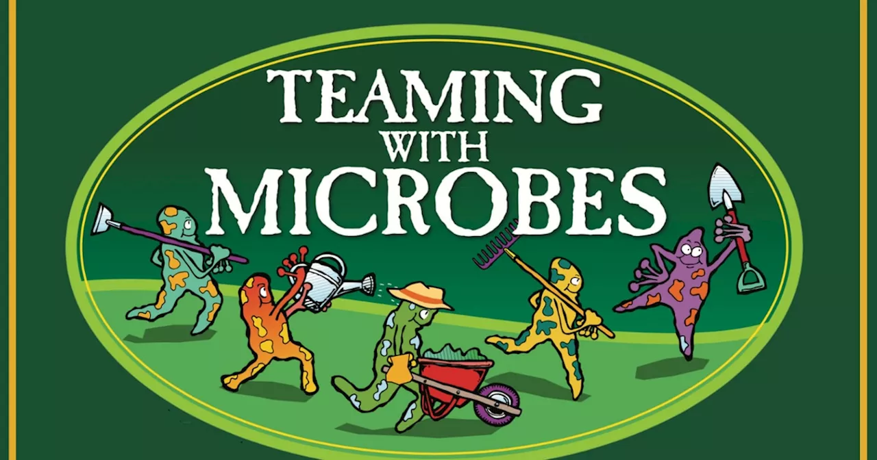 ‘Teaming With Microbes’ podcast: Lights, mites and spiders?