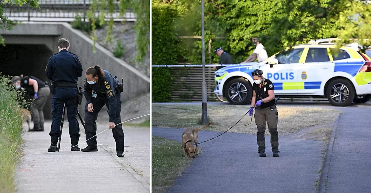 Flicka knivattackerad i Ängelholm – kvinna åtalades