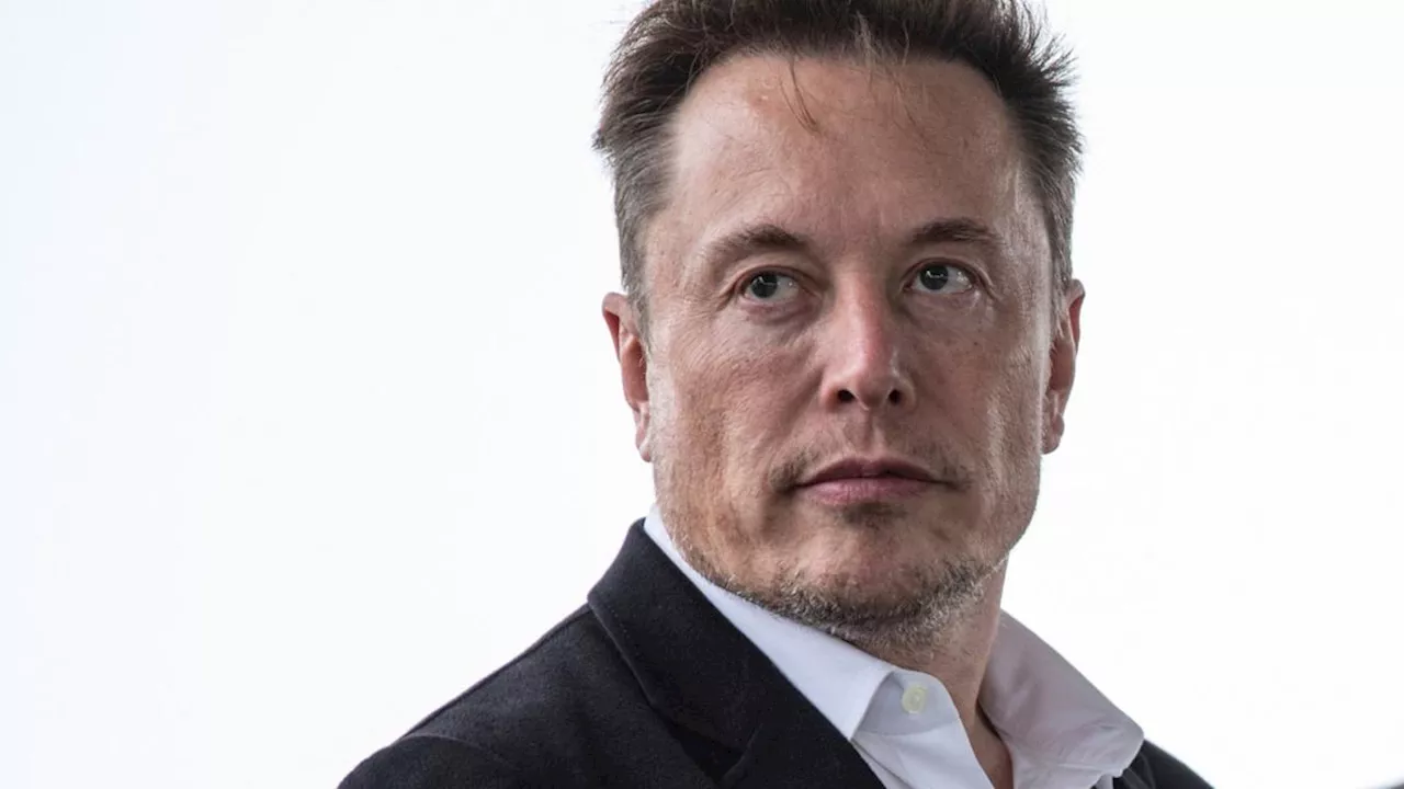 Twitter + Musk=X: Wie ein Jahr die Plattform veränderte