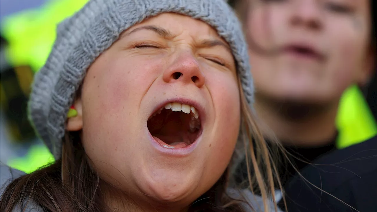 „Fridays for Future“ schockt mit Hamas-Sprech