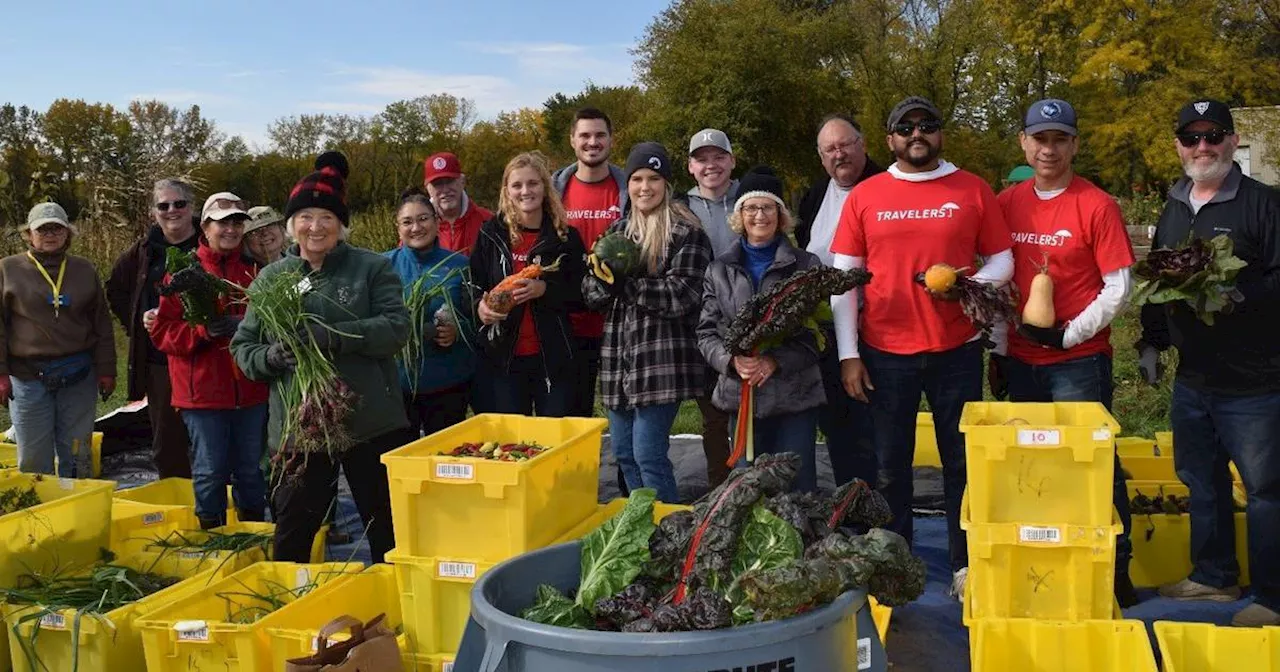 Naperville News Digest: Garden plot volunteers donate record produce amount; Will County seeking election judges for 2024; Naperville Senior Task Force offering Silver CPR classes