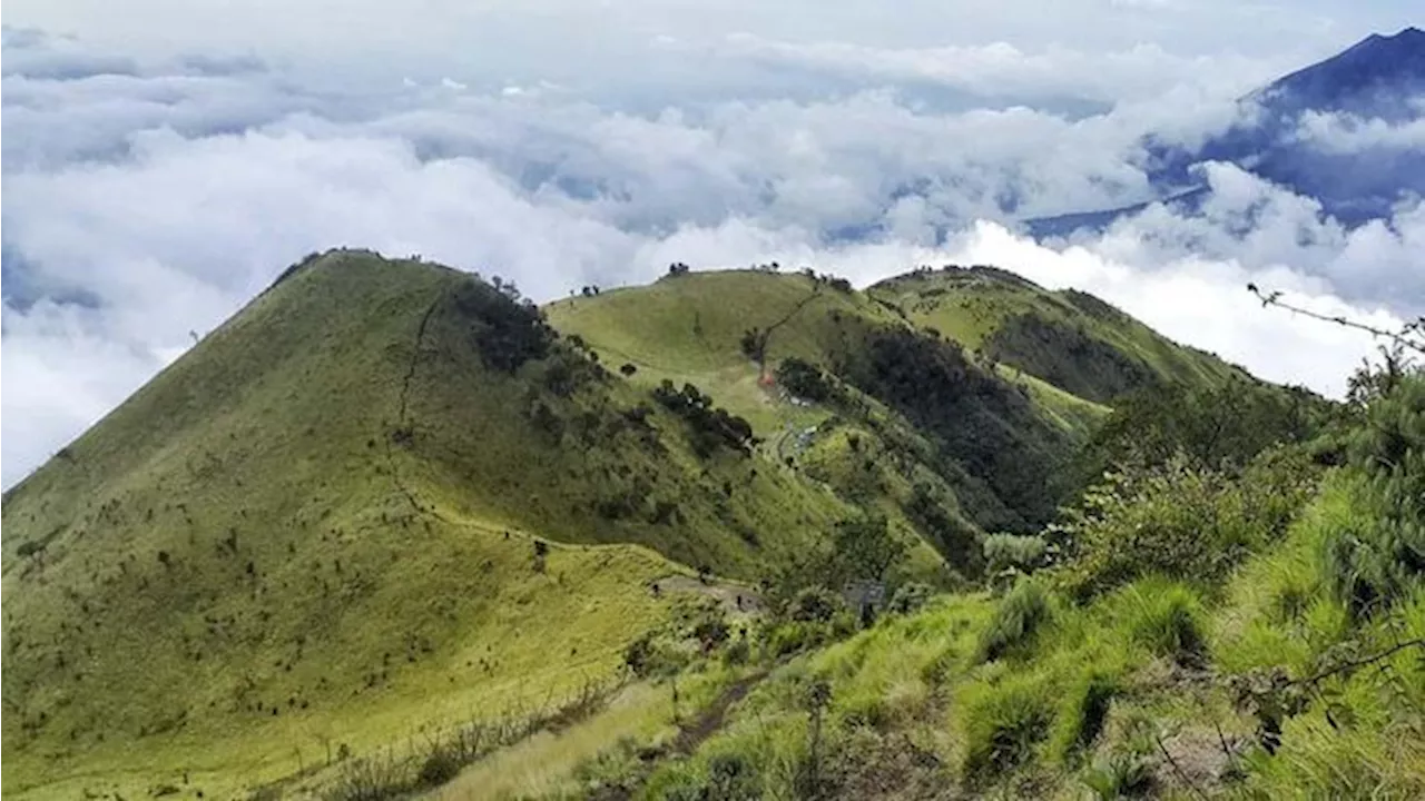 Hutan Gunung Merbabu Jateng Terbakar