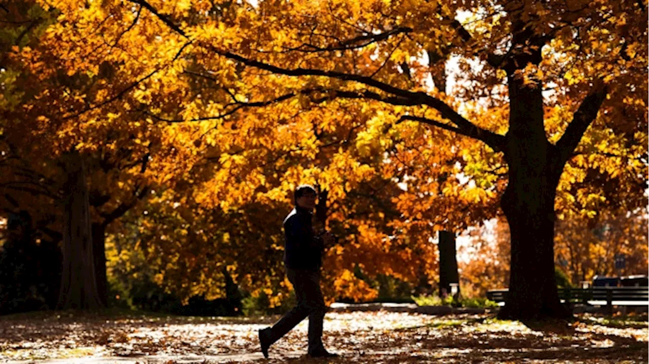 Toronto could break 23-year-old temperature record today