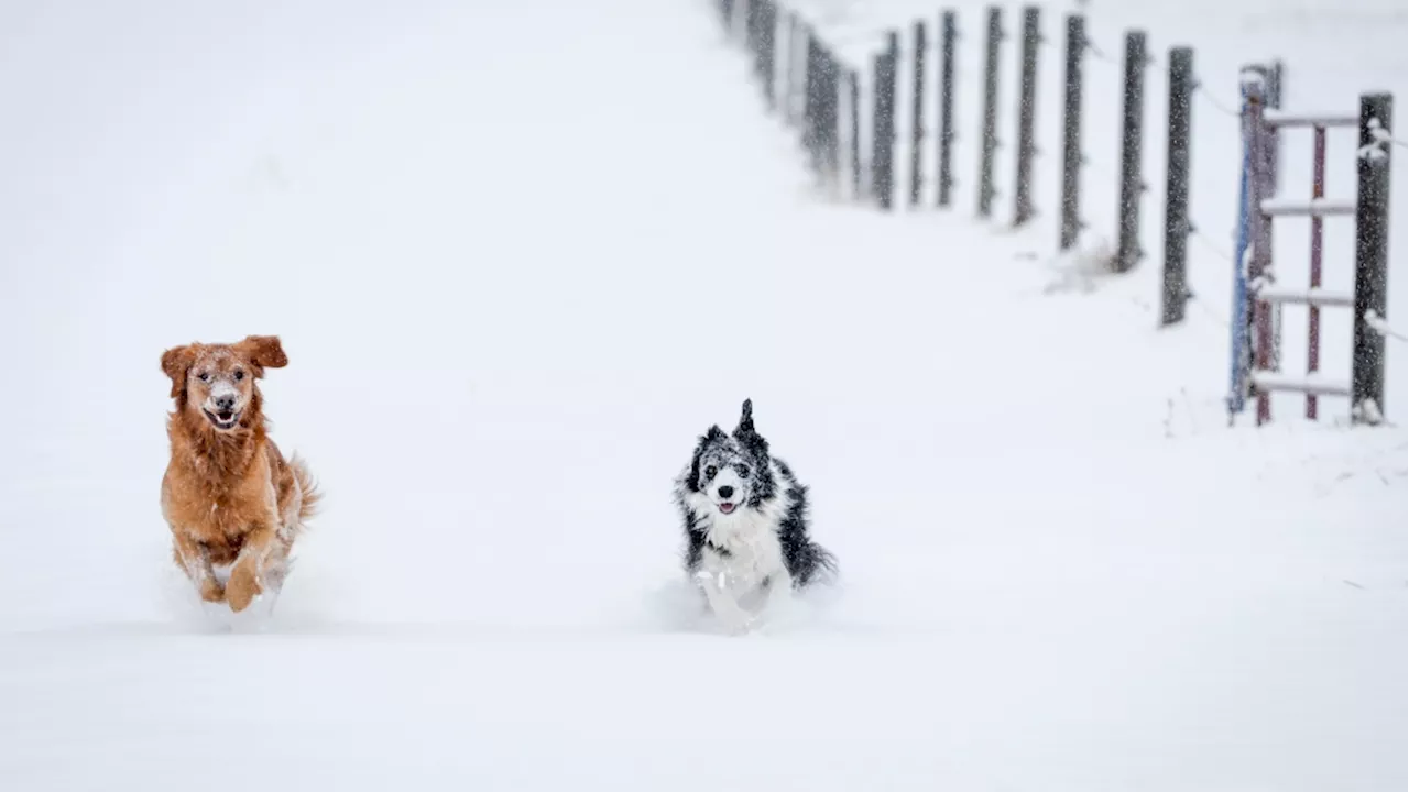 'First significant' snowstorm hits parts of Canada, while other areas prepare for record-breaking heat