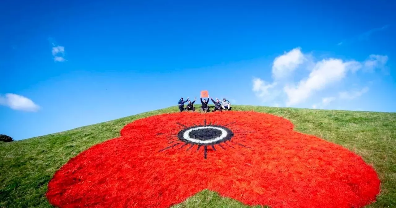 Trio of giant poppies are back at West Lothian landmark to launch annual appeal