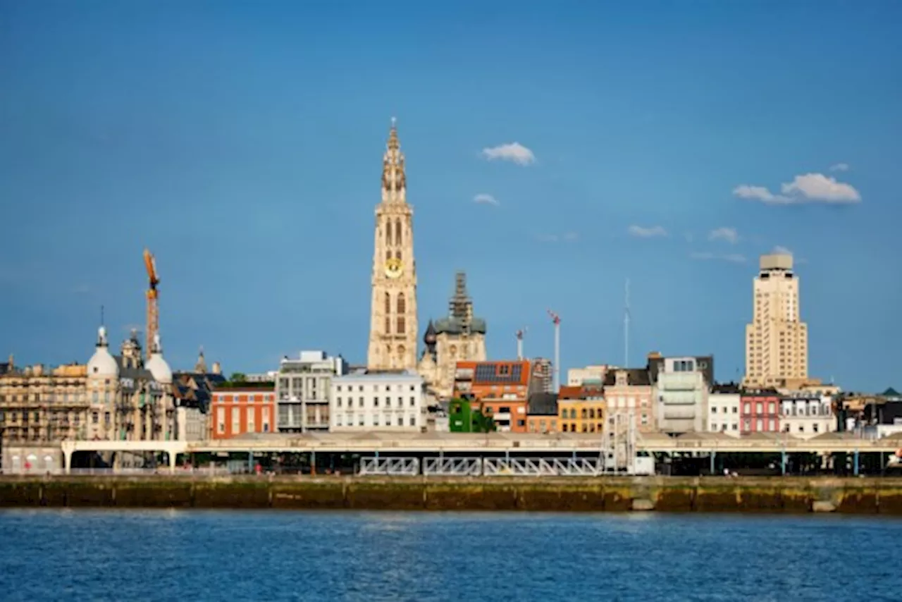 Het krioelt (weer) van het leven in de Schelde: wat zwemt er allemaal?