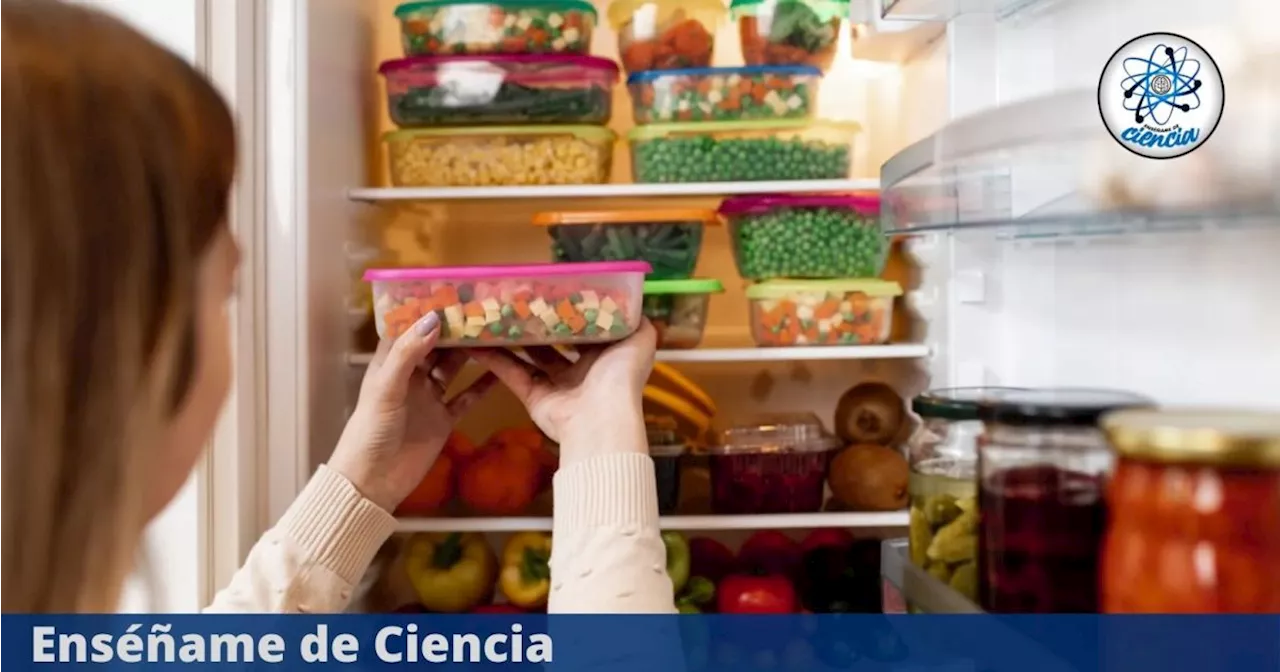 Cómo almacenar las sobras de alimentos en el refrigerador y por cuánto tiempo