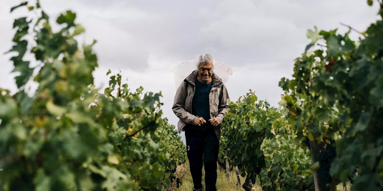 Une militante antipesticides, condamnée pour avoir dénigré des vins de Bordeaux, fait appel de la décision