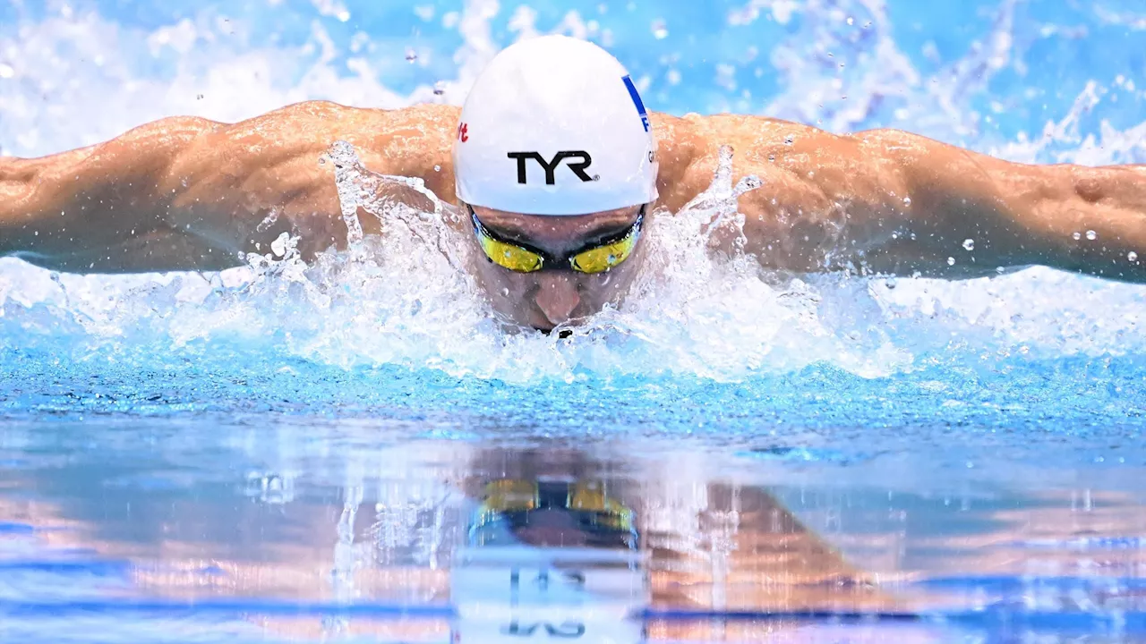 Natation en petit bassin : Maxime Grousset démarre fort sur 100 m papillon