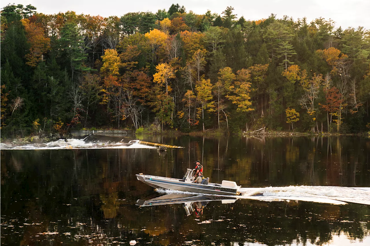 Maine cops search river in manhunt for mass shooting suspect