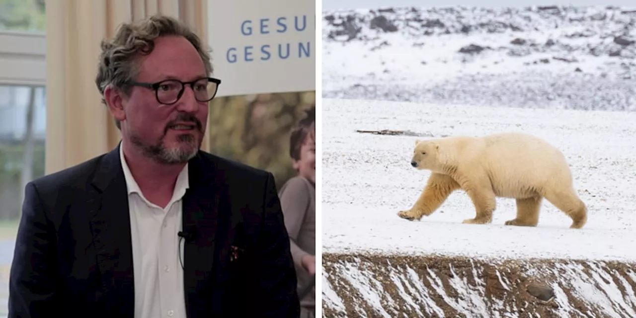 Wir haben zu lange über Eisbären gesprochen, dabei geht es um unsere Gesundheit