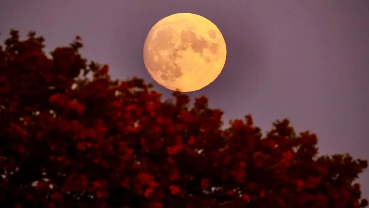 October 2023 full 'Hunter's Moon' to light up sky this weekend United