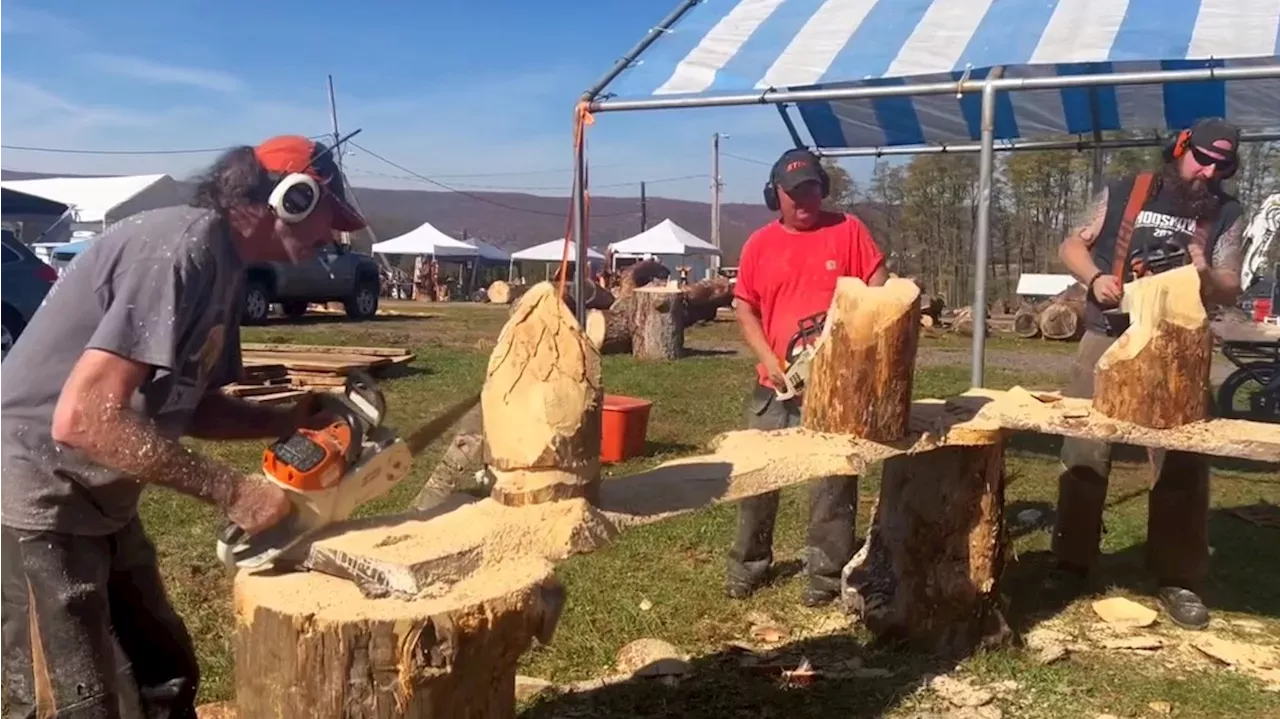 Chainsaw carving competition creates art