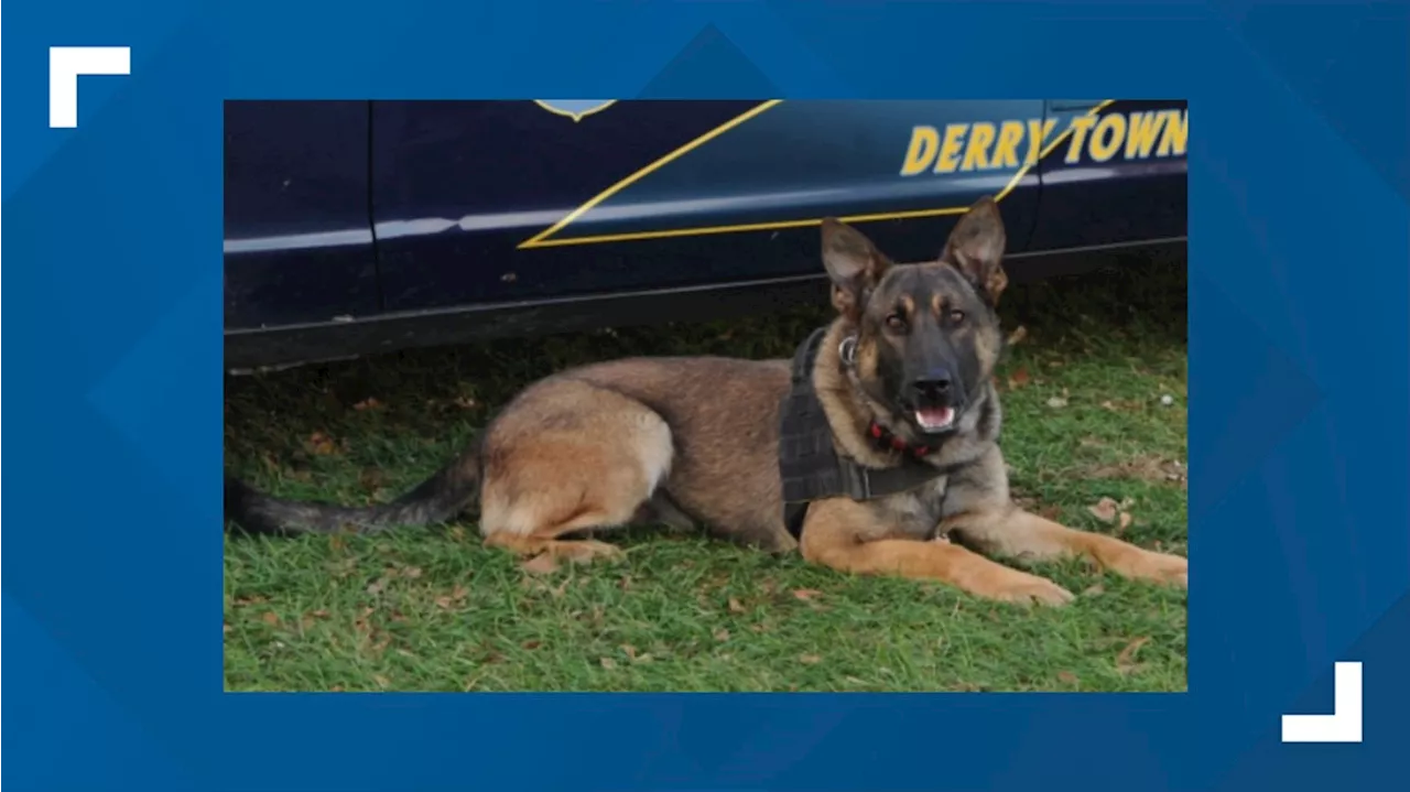 Derry Township Police announce the passing of K9 officer Heli