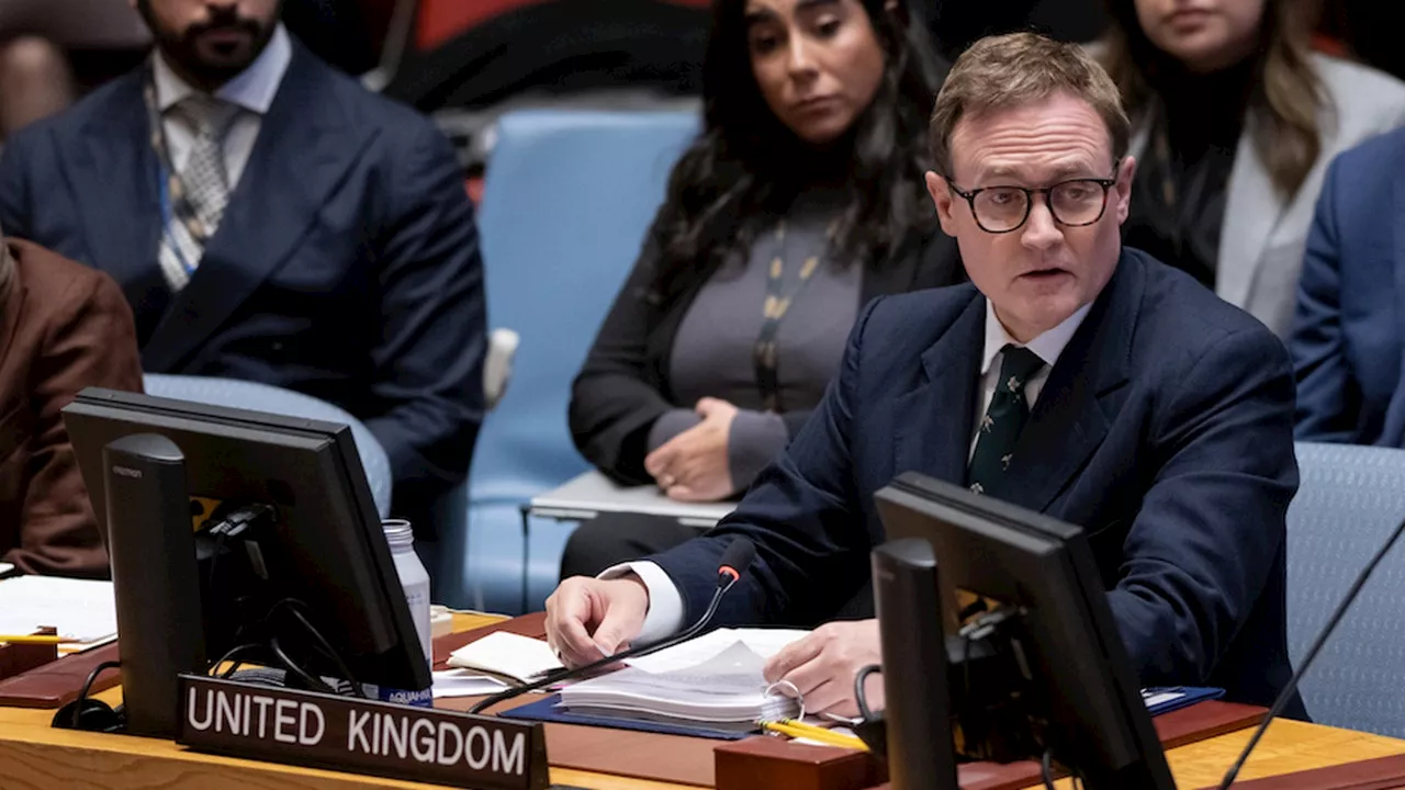 UK minister sees progress being made at UN Security Council in tackling Israel-Hamas crisis