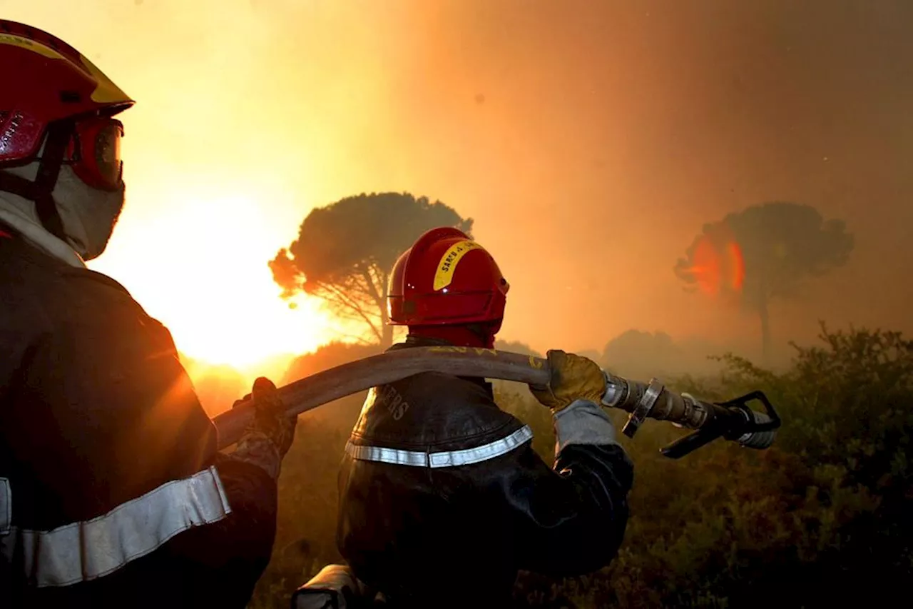 Réchauffement climatique : comment les pompiers se préparent à lutter contre les grands feux de demain