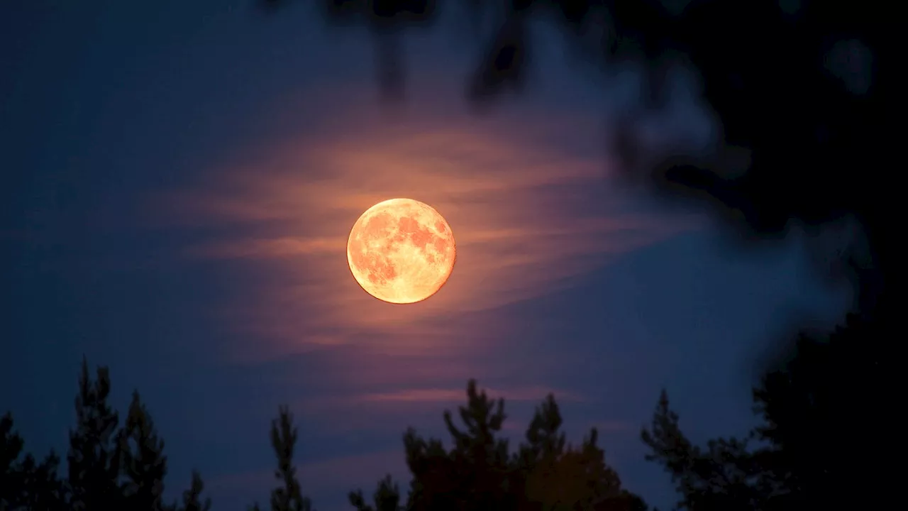 October's Full Hunter's Moon 2023 and what it means for your sign