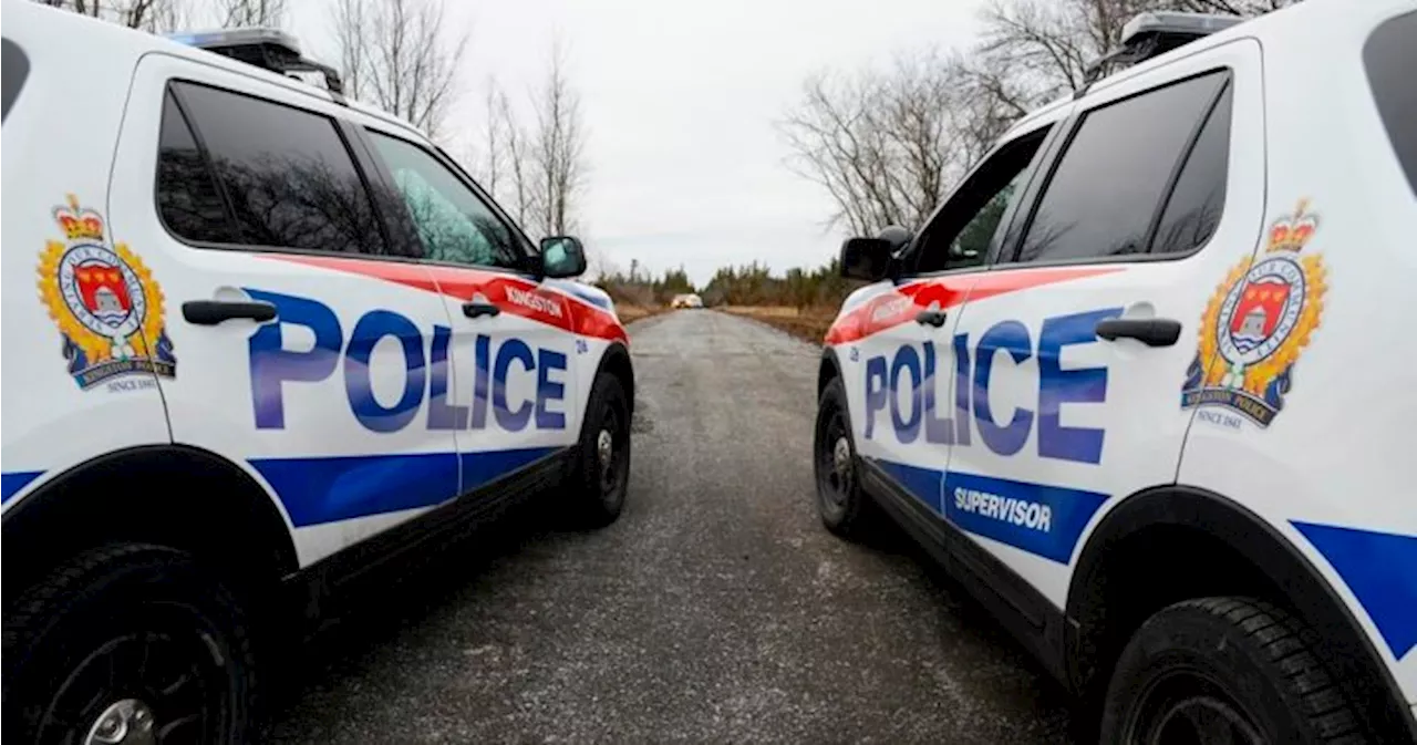 Kitten dies after woman uses animal as weapon in domestic dispute: Ontario police