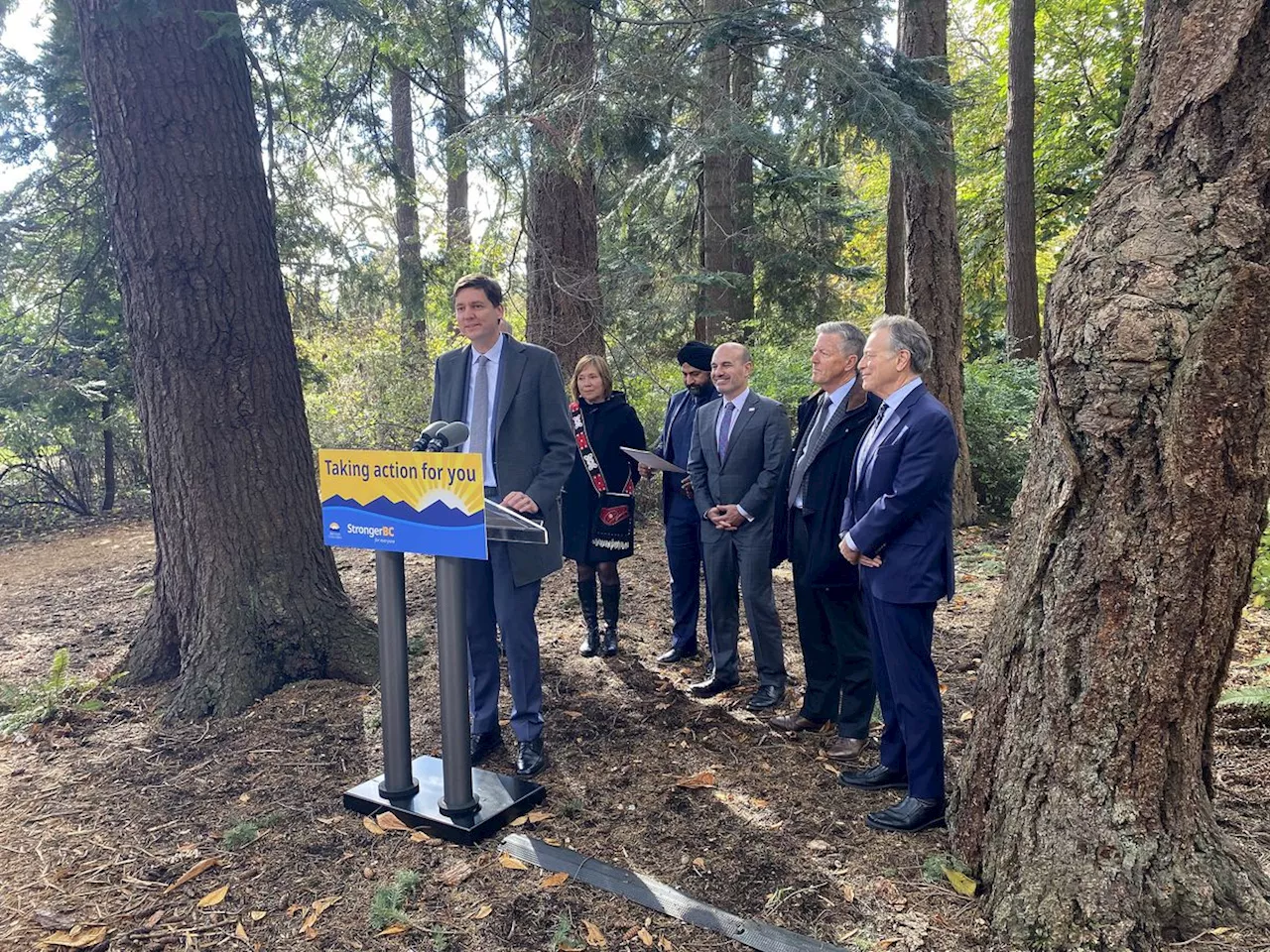 B.C. Premier David Eby announces $300-million fund to conserve biodiversity and old-growth forests