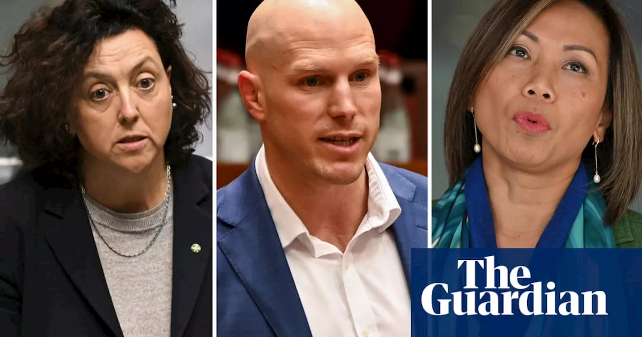 Crossbenchers urge Labor to have ‘courage’ on changes to resources tax and stage-three tax cuts