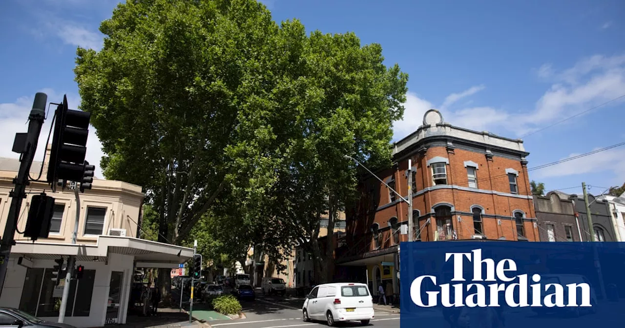 Sydney turns over a new leaf and says goodbye to much-maligned plane trees