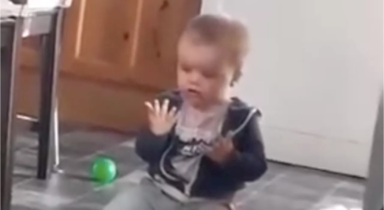 Cork baby is completely amazed after seeing sunshine for the first time