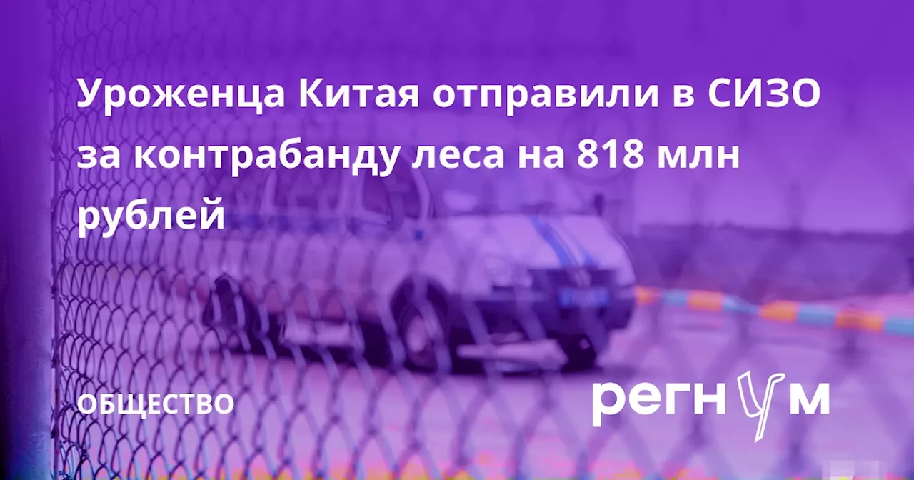 Уроженца Китая отправили в СИЗО за контрабанду леса на 818 млн рублей