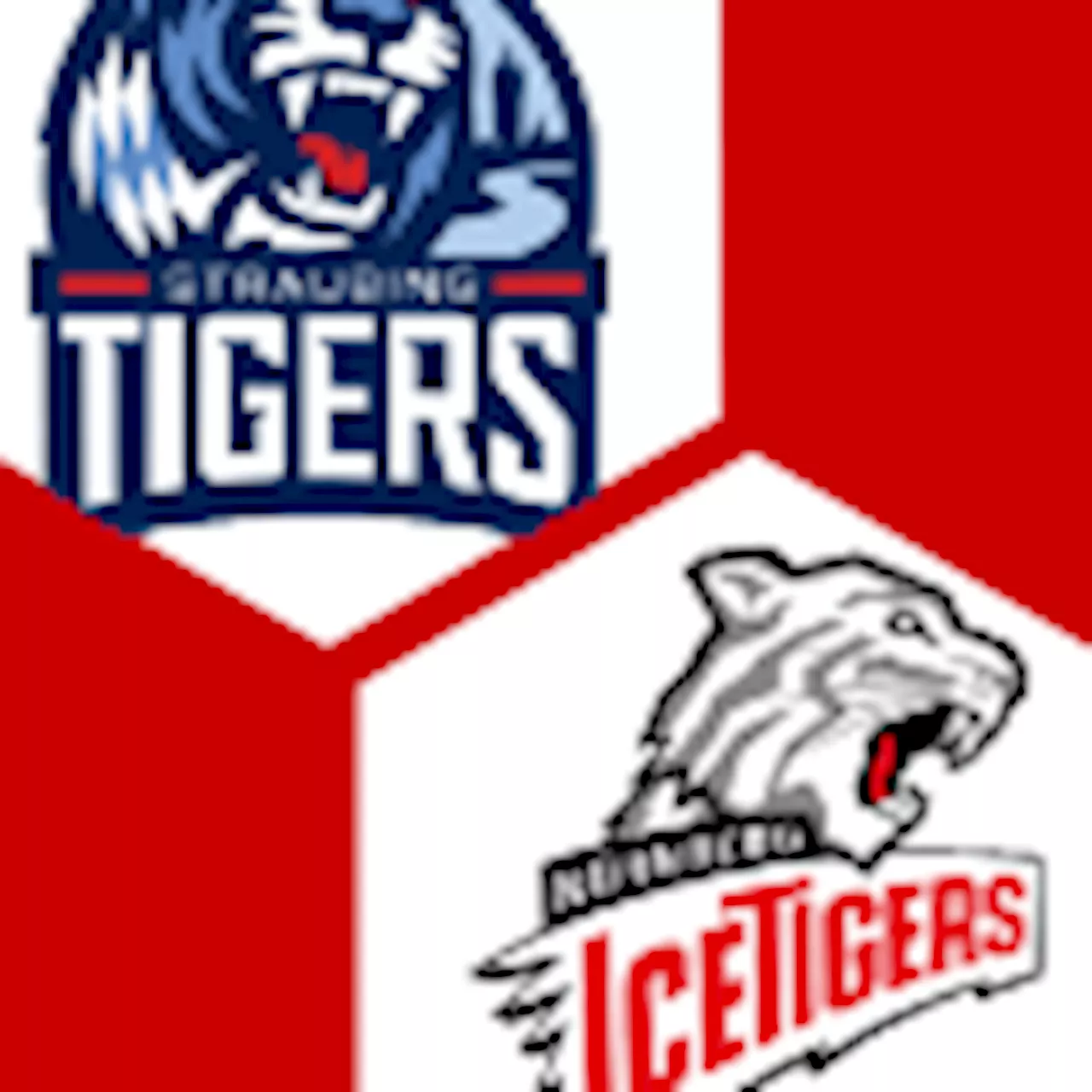  Nürnberg Ice Tigers 0:0 | 14. Spieltag | Deutsche Eishockey-Liga 2023/24