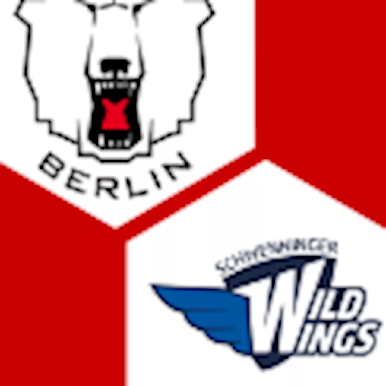 Schw. Wild Wings 5:3 | 14. Spieltag | Deutsche Eishockey-Liga 2023/24