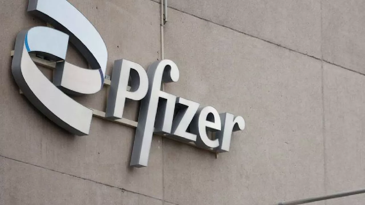 Pfizer, BioNtech say flu-COVID shot generates strong immune response in trial