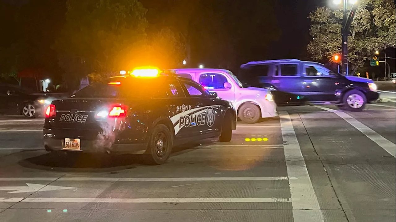 Provo police looking for white van in fatal auto-pedestrian crash