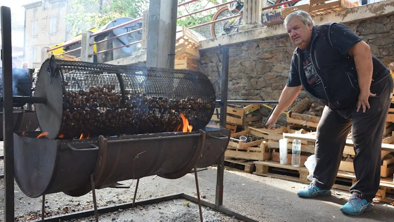 Laguépie se prépare pour sa traditionnelle Foire à la châtaigne