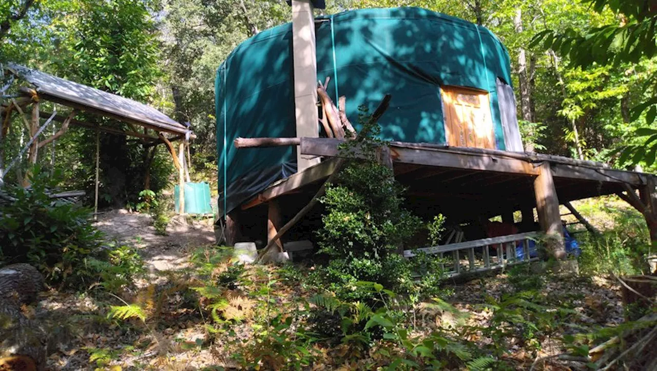 Rennes-les-Bains : un collectif lutte pour vivre au cœur de la forêt