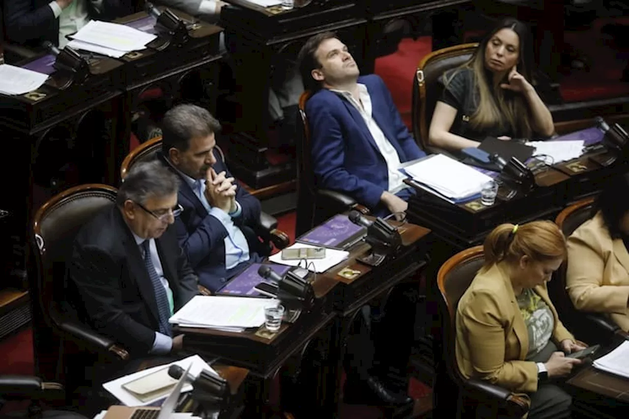 Tras la acusación de Macri: ¿cómo jugaron los diputados radicales ante los proyectos de Massa?