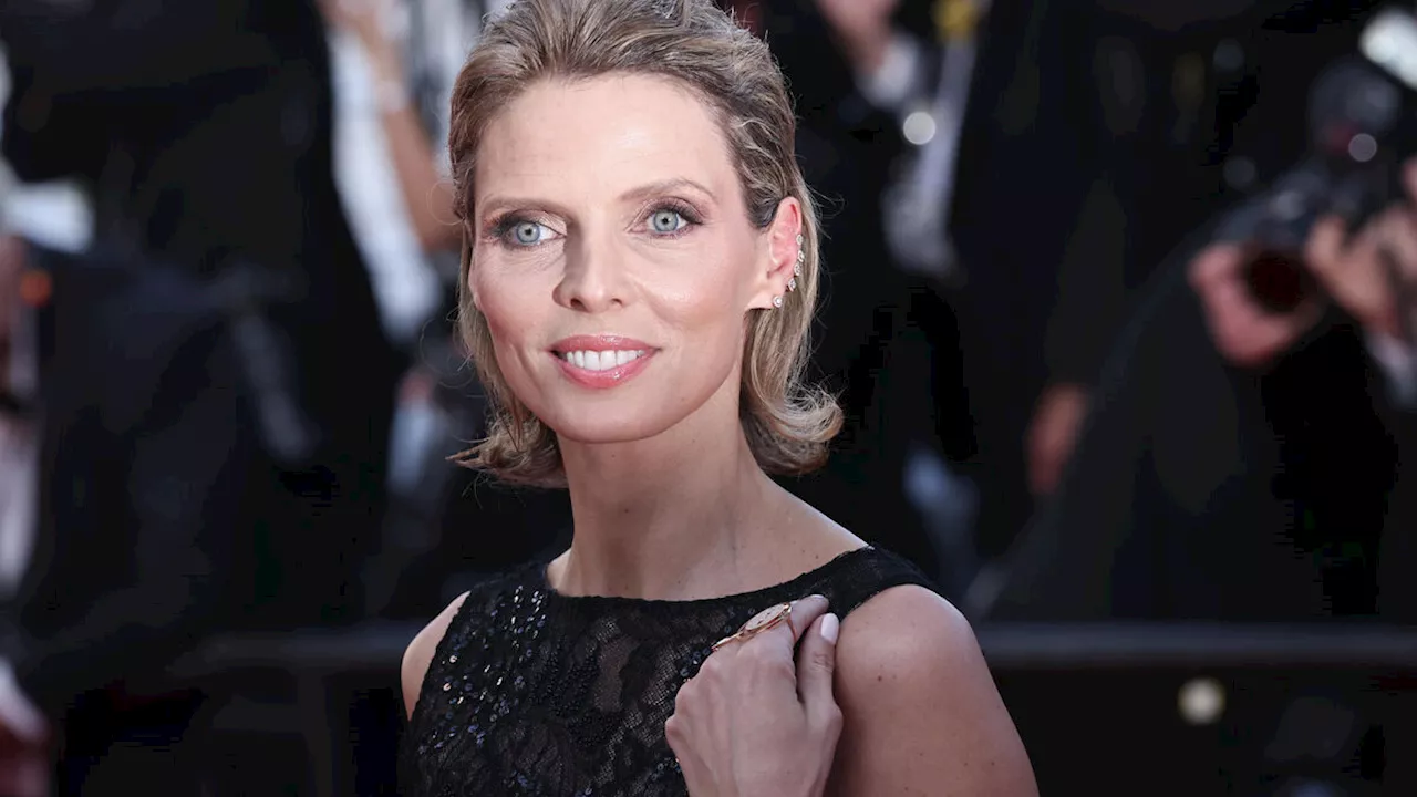 Cambriolage chez l’ex-Miss France Sylvie Tellier : les deux suspects remis en liberté