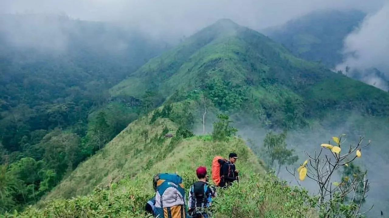 6 Fakta Menarik Gunung Wilis yang Sempat Dilalui Jenderal Sudirman Sebelum Pertempuran 11 Maret 1949