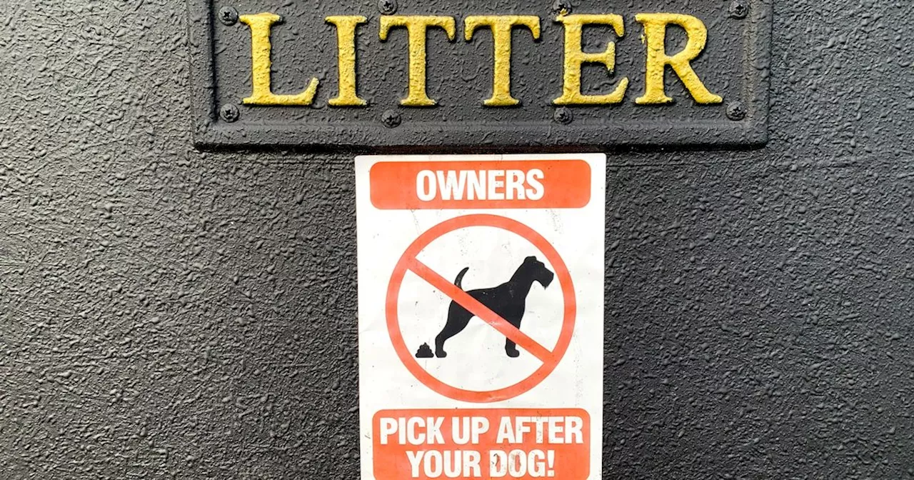 Blackpool's £1,000 warning to rogue dog owners