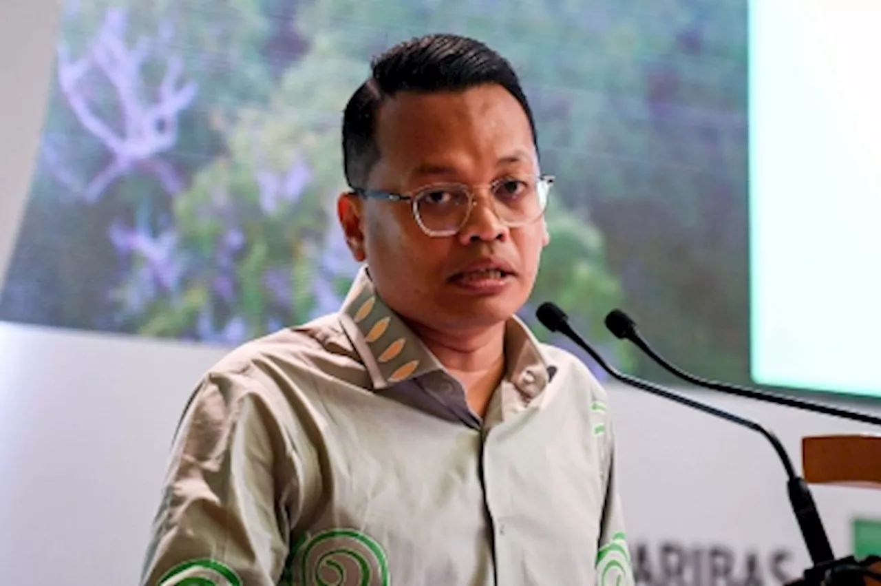 Nik Nazmi: Changes in Kelantan environmentally sensitive areas will have implications on peninsular forested areas policy