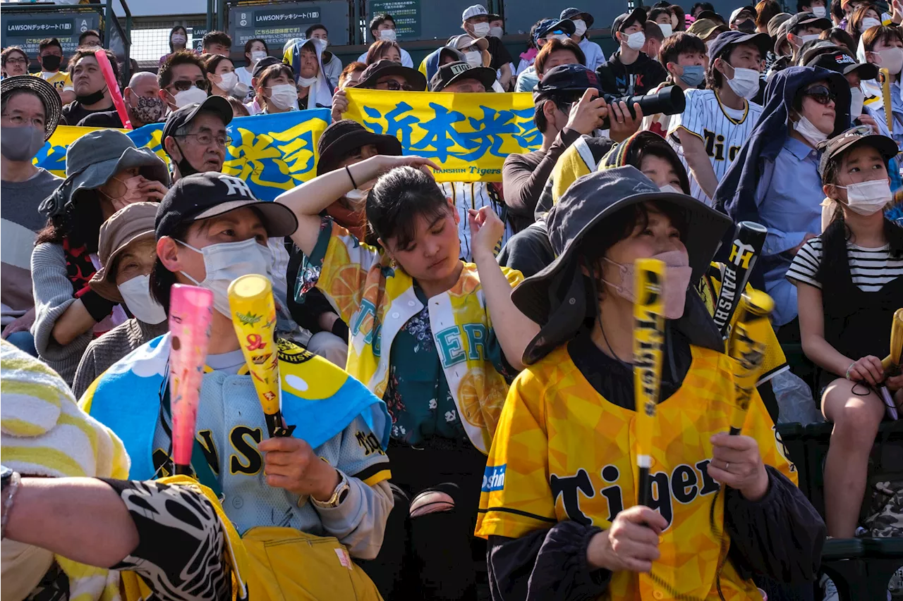 Long-suffering Tigers fans ready to roar at baseball's Japan Series