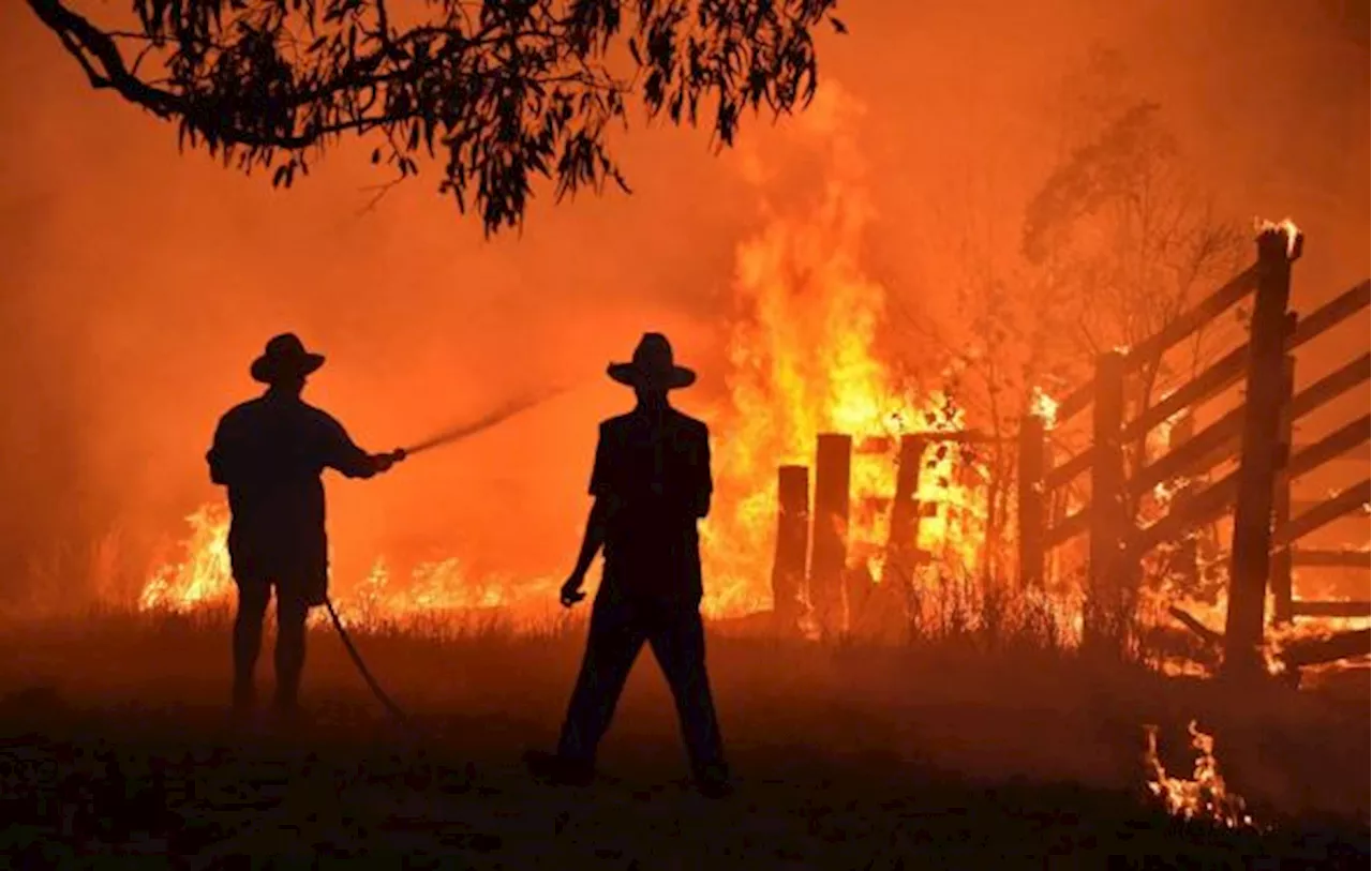 Pemadam Kebakaran Australia Berjuang Mengendalikan Kebakaran Hutan Mematikan