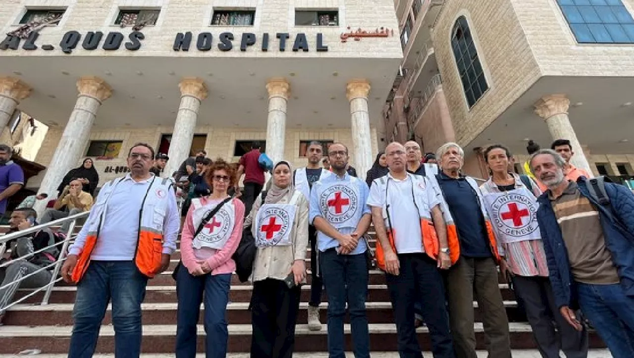 Llega el primer equipo médico de la Cruz Roja a la Franja de Gaza| VIDEO