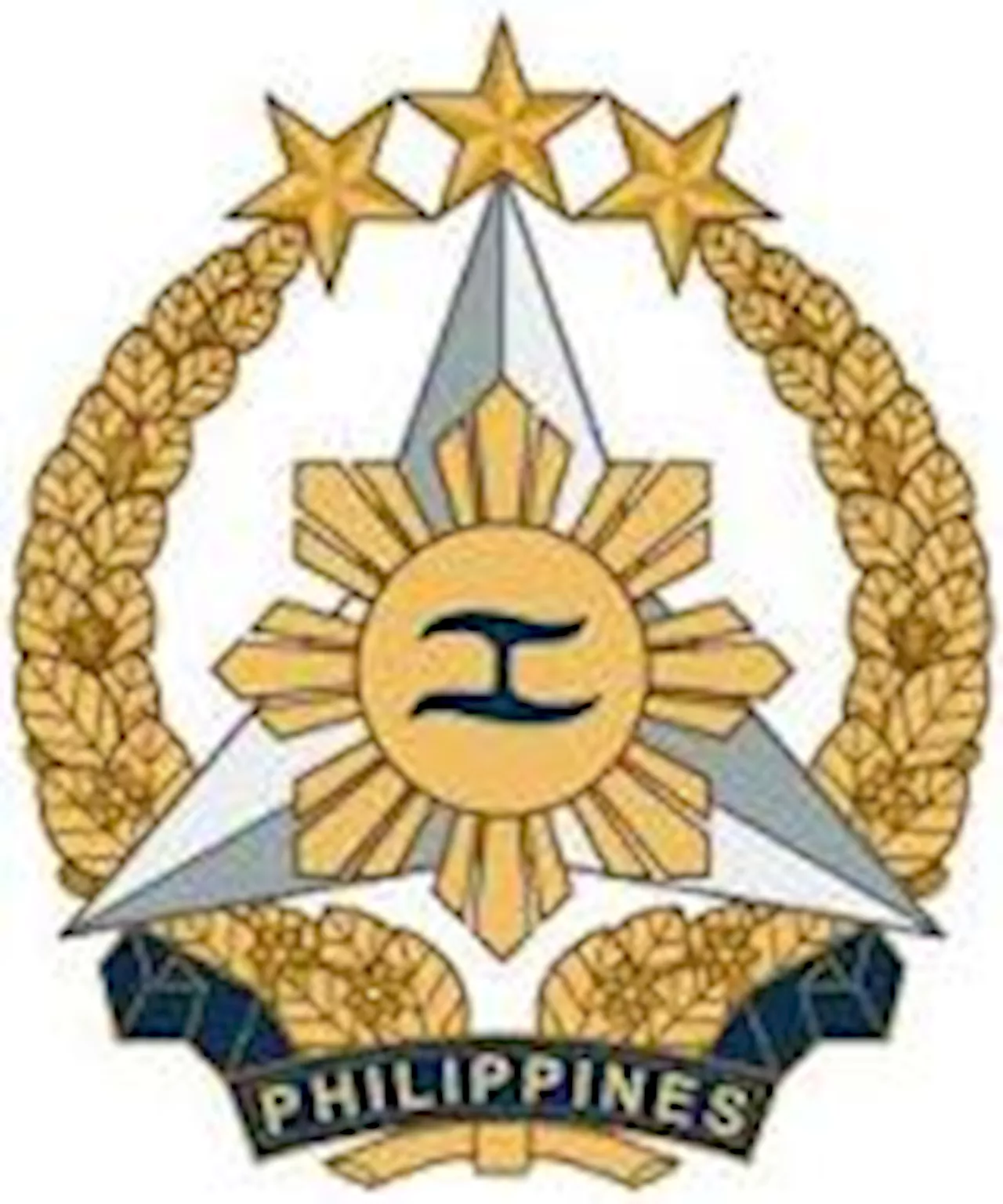 AFP names new Public Affairs head