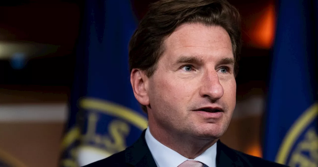 'A head scratcher': Dems baffled by Dean Phillips quixotic bid against Biden